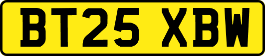 BT25XBW