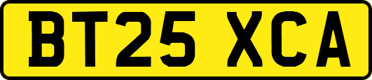 BT25XCA