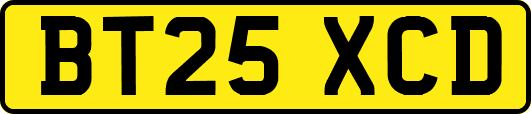 BT25XCD
