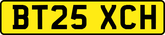 BT25XCH