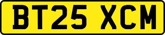 BT25XCM