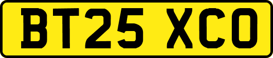 BT25XCO