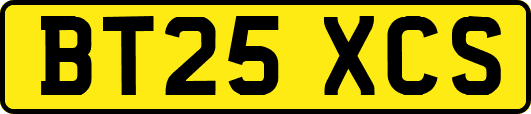 BT25XCS