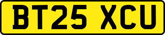 BT25XCU