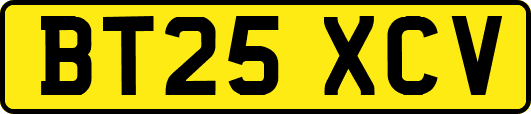 BT25XCV