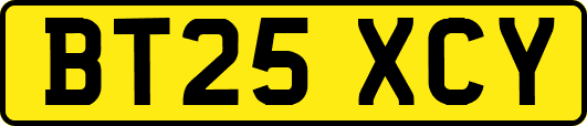 BT25XCY