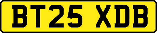 BT25XDB
