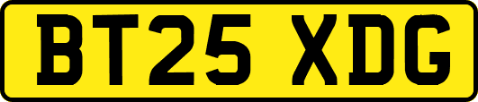 BT25XDG