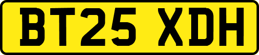 BT25XDH