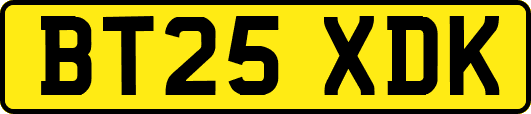 BT25XDK