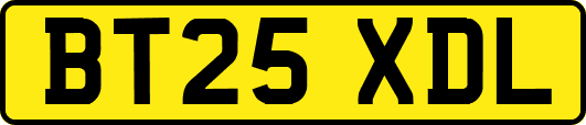 BT25XDL