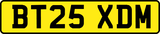 BT25XDM