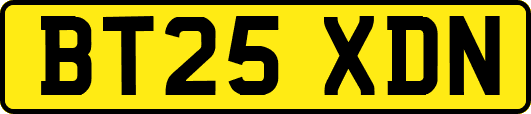 BT25XDN