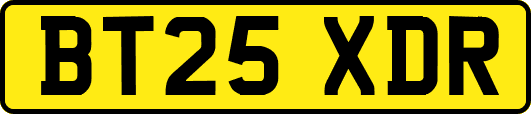 BT25XDR