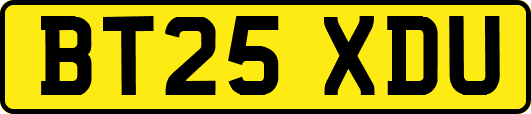 BT25XDU