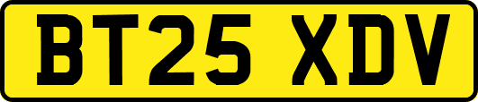BT25XDV