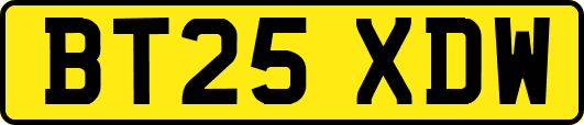 BT25XDW