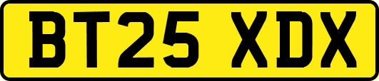 BT25XDX
