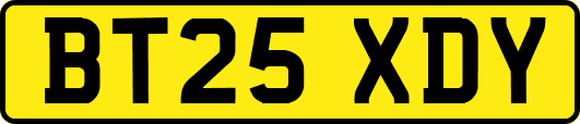 BT25XDY