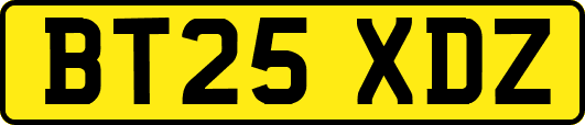 BT25XDZ