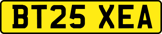 BT25XEA