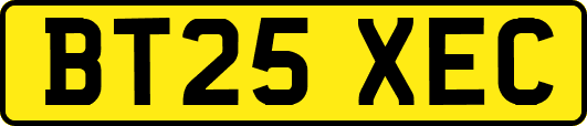 BT25XEC