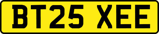 BT25XEE