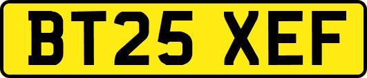 BT25XEF