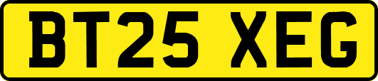 BT25XEG
