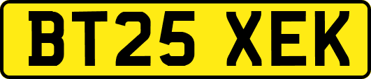BT25XEK