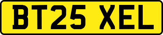 BT25XEL