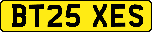 BT25XES