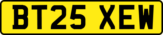 BT25XEW