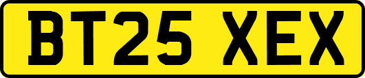 BT25XEX