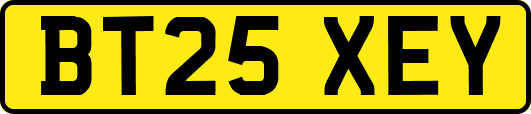 BT25XEY