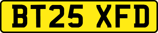 BT25XFD