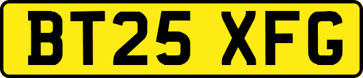 BT25XFG