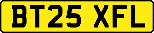 BT25XFL