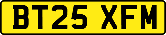 BT25XFM
