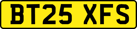 BT25XFS