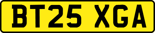BT25XGA