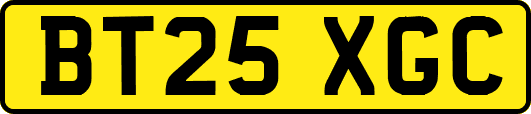 BT25XGC