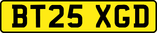 BT25XGD