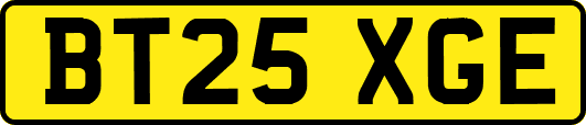BT25XGE