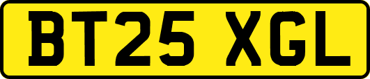 BT25XGL