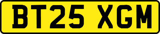 BT25XGM