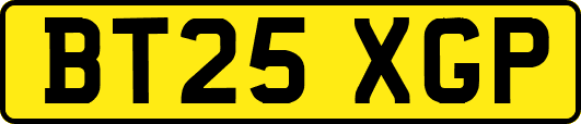 BT25XGP