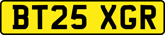 BT25XGR