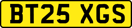 BT25XGS