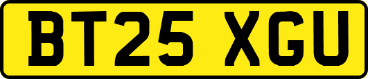 BT25XGU